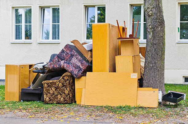 Best Shed Removal  in USA